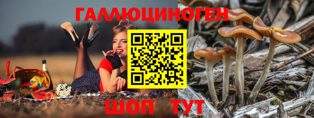 Сосновоборск  Псилоцибиновые грибы мухоморы  цена наркотик  Вход с VPN 